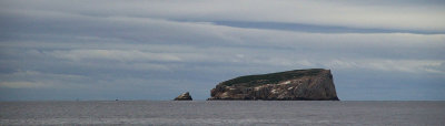 Tasman Sea