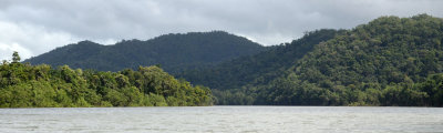 Daintree River