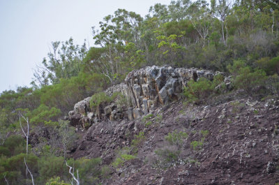 organ pipes