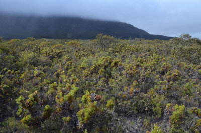Mt Ragged landscape