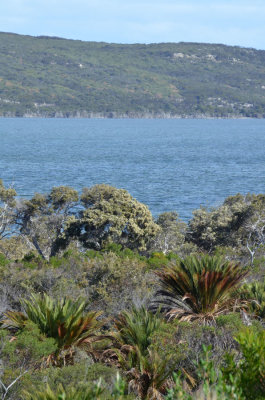 Stokes Inlet