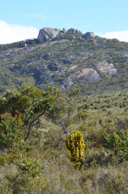 Waychinicup landscape