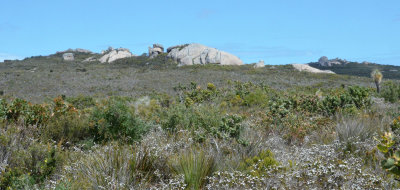 Waychinicup landscape