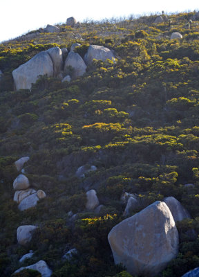 granite boulders