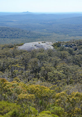 view from Mt Frankland