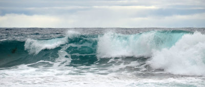 wave