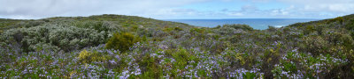 g12/26/1054626/3/170656338.oocmv1NZ.jpg