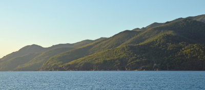 Hinchinbrook view