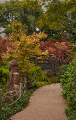 fort_worth_japanese_gardens