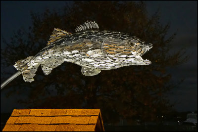 Big Fish, School of Fish by Tom Sterner