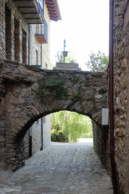 Sant Joan de les Abadesses (S) ( 45 foto's)