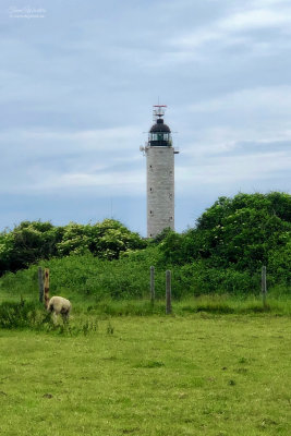 Audinghen 2019 (3 foto’s)