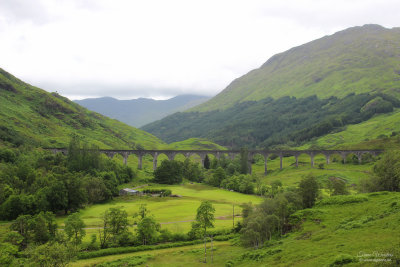  Glenfinnan  (7 foto's)