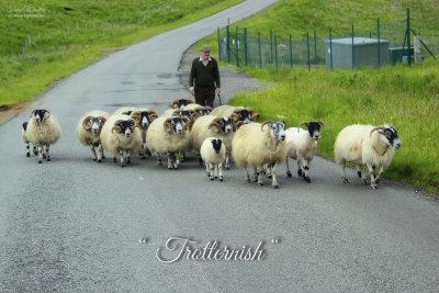 Kylerhea (5 foto's)