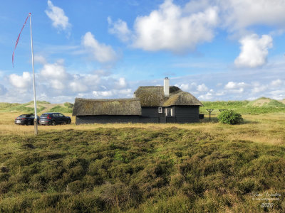 Blåvand