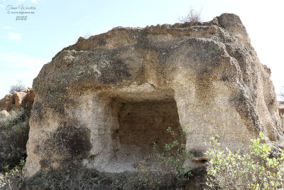 g12/26/157726/3/173034635.ubzfLena.jpg