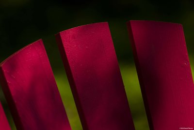 2019Juillet04-DT56771B.jpg