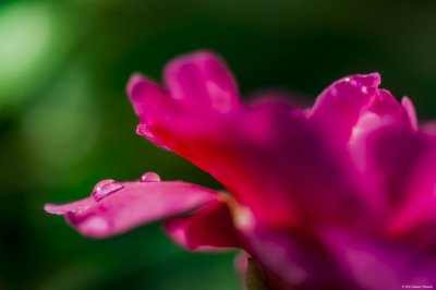 2016Mai02-DT1_4819B.jpg