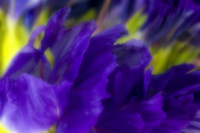 2014Janvier04-DT1_2015HD2.jpg