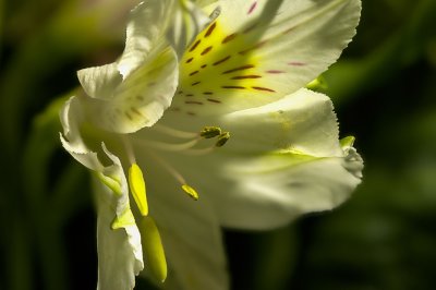 2013Aot01-DT1_7909HF.jpg