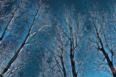 2012-Jan02C.jpg