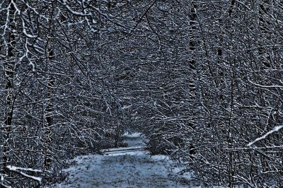 2012-Jan04C.jpg