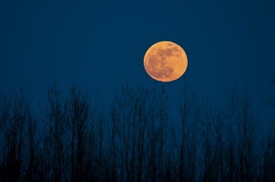 2012-Mai01C.jpg