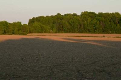 2012-Juil01C.jpg