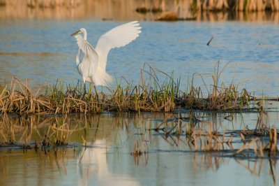 2012-Oct01C.jpg