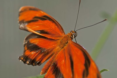 2011-Jui03C.jpg