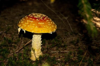 2011-Oct02C.jpg