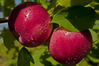 2011-Oct04C.jpg