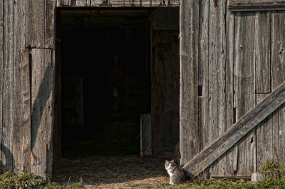 2011-Nov03C.jpg
