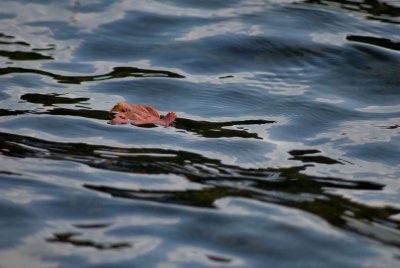 2010-Sep01.jpg