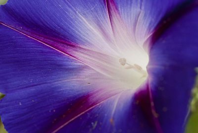 2010-Sep02.jpg