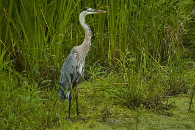 2010-Sep04C.jpg