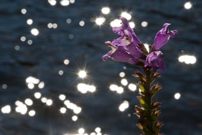 2010-Oct04C.jpg