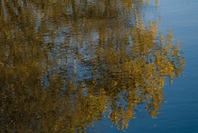 2010-Oct05C.jpg