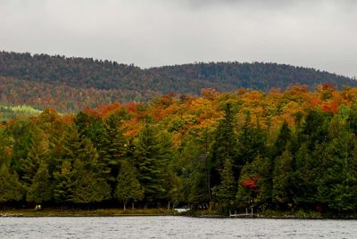 2010-Nov03C.jpg