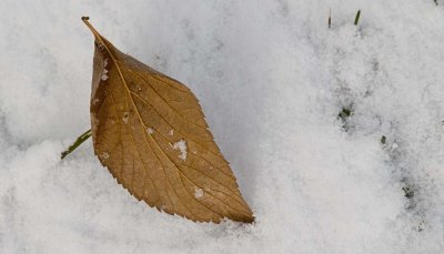 2010-Nov04C.jpg