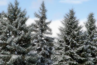 2010-Dec01C.jpg
