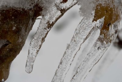 2009-Jan02C.jpg