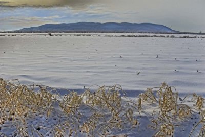 2009-Jan03C.jpg