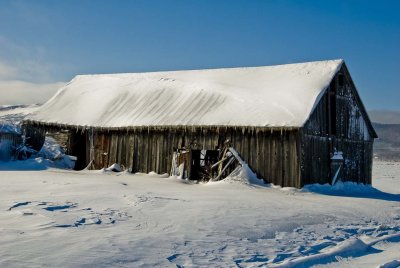 2009-Jan04C.jpg