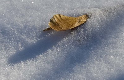 2009-Mar02C.jpg