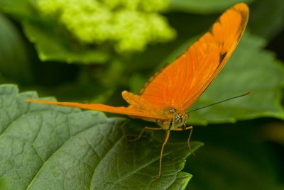 2009-Mar03C.jpg