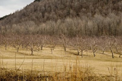 2009-Mar04C.jpg