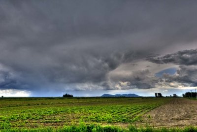 2009-Juil03C.jpg
