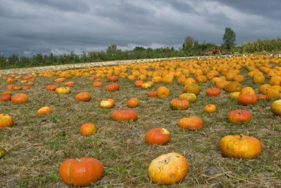 2009-Oct02C.jpg