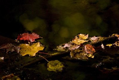 2009-Oct03C.jpg